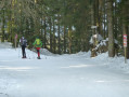 Seebach - Schneeschuhtour Ruhestein - Bosensteiner Eck