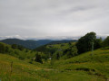 Auf dem Schauinsland Auf dem Schauinsland