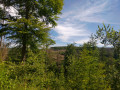 Schöne Aussicht Schöne Aussicht