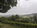 Schöne Aussicht
