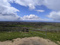Rundtour von Britzingen zur Ruine Neuenfels
