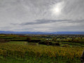 Rund um Eichstetten am Kaiserstuhl