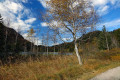 Schwansee