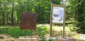 Sculpture Engrenage