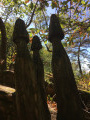sculpture sur bois de champignons