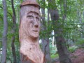 Découvrir les hêtraies sur la commune de Pavezin Découvrir les hêtraies sur la commune de Pavezin