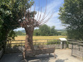 Sculpture sur le Chemin des Marais