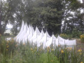 Sculpture Vign'art au Parc Vix