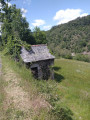 Forêt de Soulouze