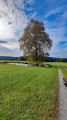 Seerosenteich