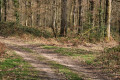 Sentier à droite