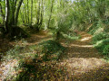 Sentier à Eppe-Sauvage Sentier à Eppe-Sauvage