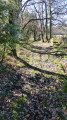 Sentier à l'arrivée au village