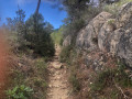 sentier Alpi Ligure