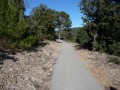Sentier aménagé