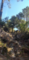 Sentier amenant à Circinellu