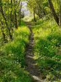 Sentier au bord de l'Aix