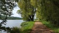 Sentier au bord de l'eau