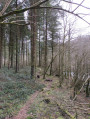 Sentier au bord du gave