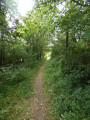 Sentier au coeur de la Réserve