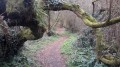 Sentier autour de la lagune de Pen en Toul