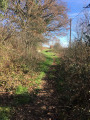 Sentier avant le Crudel