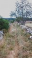 Sentier avec murets en pierres