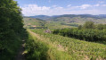 À la découverte du Mont Brouilly