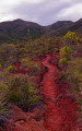 Sentier bien am&eacute;nag&eacute;