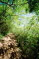 Sentier bien entretenu