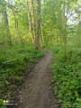 sentier bois des dames