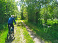 Sentier bucolique au coeur des marais