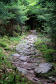 Sentier caillouteux et en forêt du Stolz Ablass