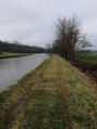 Weg über Felder zum Kanal in Schwindratzheim