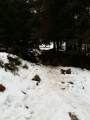 Drei-Seen-Wanderung (Lac Noir, Lac Blanc, Lac des Truites)