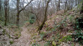 Sentier creux Sentier creux