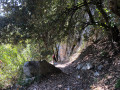 Sentier d'accès à la cascade