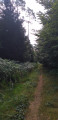 Sentier d'ambiance