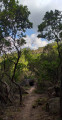 Sentier d'ambiance