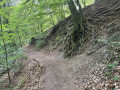 Sentier d'échauffement