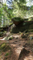 Sentier dans la forêt