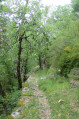 Sentier dans la montagne de Miollans