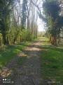 Sentier dans le bois