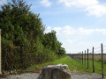 sentier dans le marais de l'Ilatte