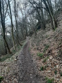 Sentier dans les bois de Rivière