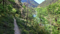 Sentier dans les Gorges du Tarn