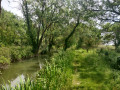 Chemin au bord de l'eau
