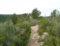 Sentier de crête Sentier de crête