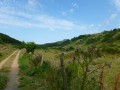 Sentier de découverte à Besse