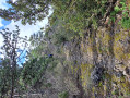 Sentier de descente vers la D620
